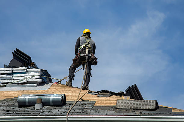 Professional Storm Damage Roof Repair technician working in Buchanan, ND