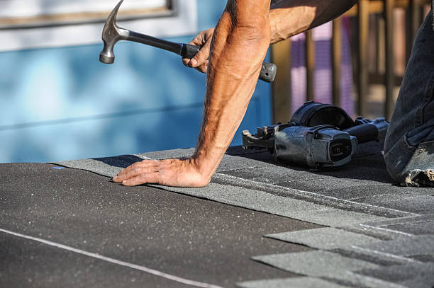 Affordable Storm Damage Roof Repair solutions in Buchanan, ND